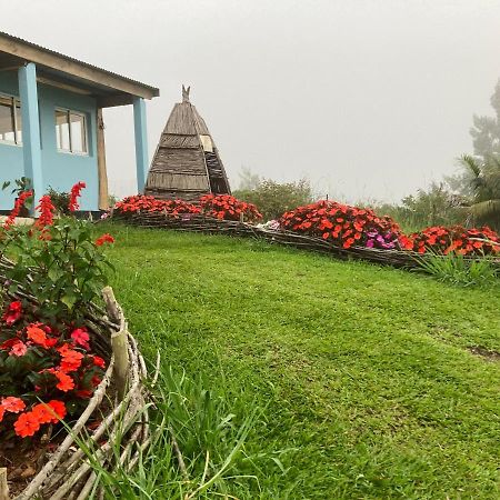Au Coeur De La Cascade Biberon Acomodação com café da manhã La Plaine des Palmistes Exterior foto