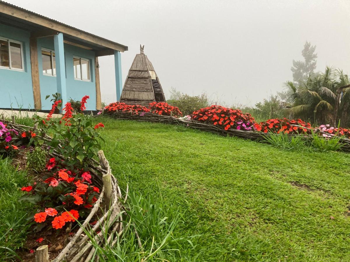 Au Coeur De La Cascade Biberon Acomodação com café da manhã La Plaine des Palmistes Exterior foto