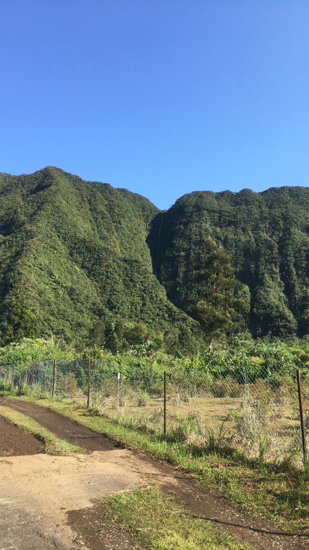 Au Coeur De La Cascade Biberon Acomodação com café da manhã La Plaine des Palmistes Exterior foto